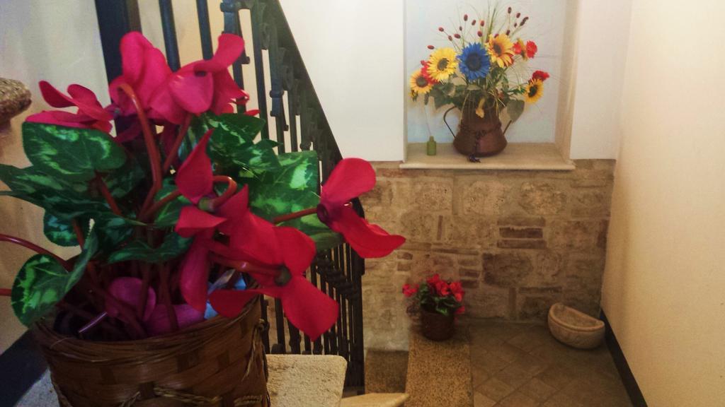 Il Ciclamino Bed And Breakfast Ascoli Piceno Exterior photo